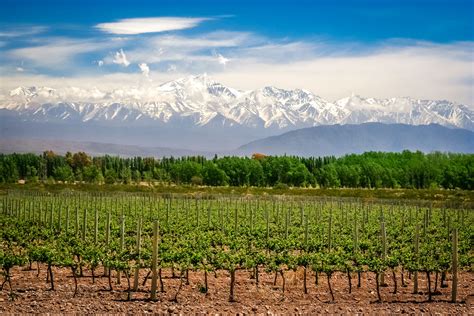 Mendoza, Argentina .